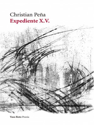 cover image of Expediente X. V.
